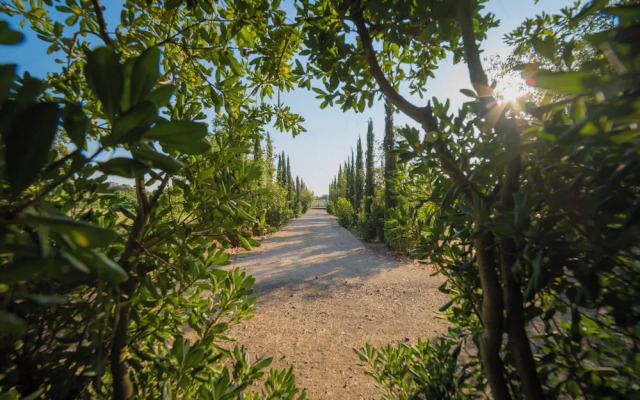 Villa Vallone Luxury With Pool