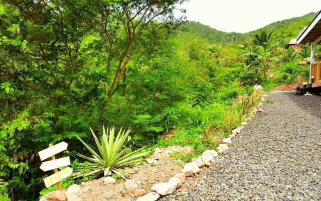 L´Odyssée Des Anses