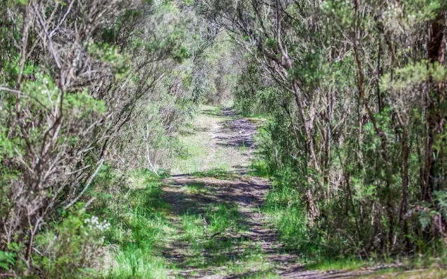 Red Hill Ridge plus Dairy