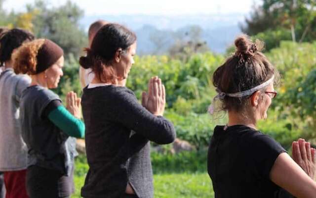 Casa do Vale da Lama EcoHotel & Retreat Centre in a farm