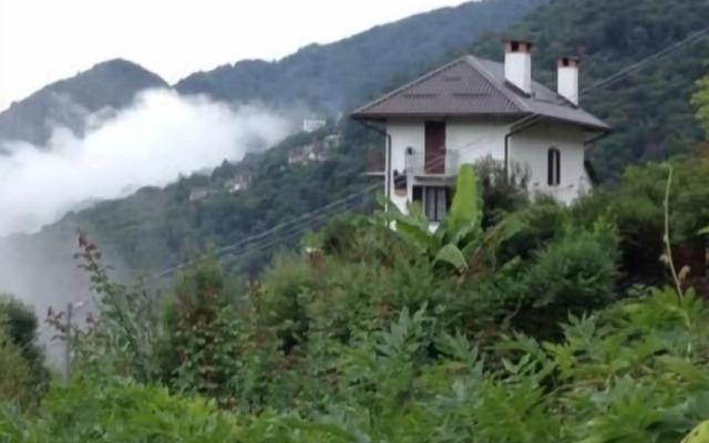 B&B La Locanda del Cinghiale