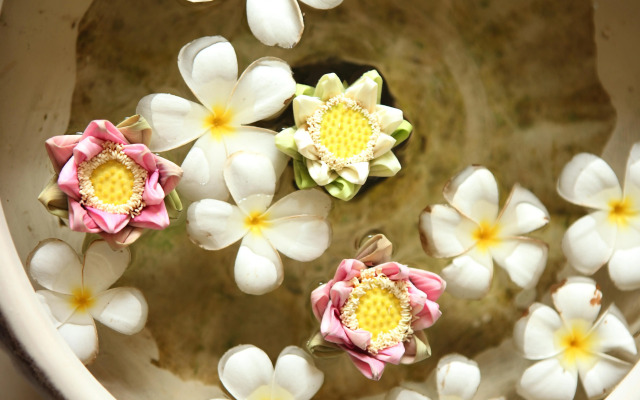 The Frangipani Living Arts Hotel & Spa