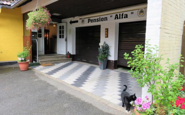 Pension Alfa