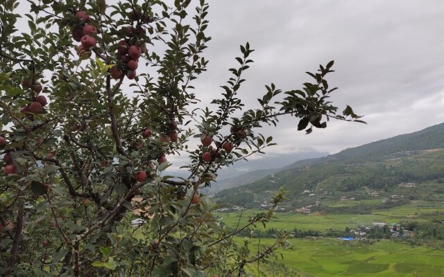 Paro Village View Home Stay