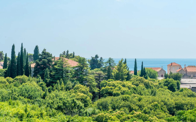 Comfort Apartment Ani