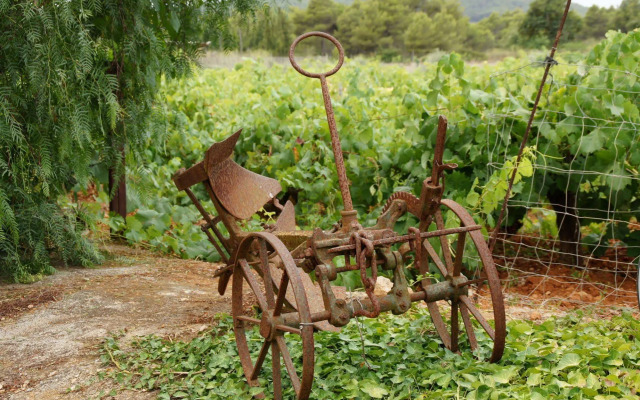 Agroturismo Sa Vinya d'en Palerm