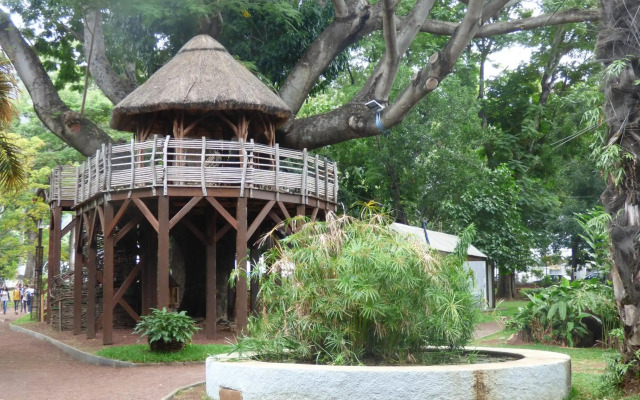 L'escale des Palmiers
