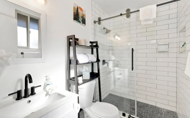 Sugar Bear Crossing #2496