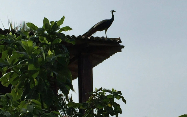 Lanka Eco Village