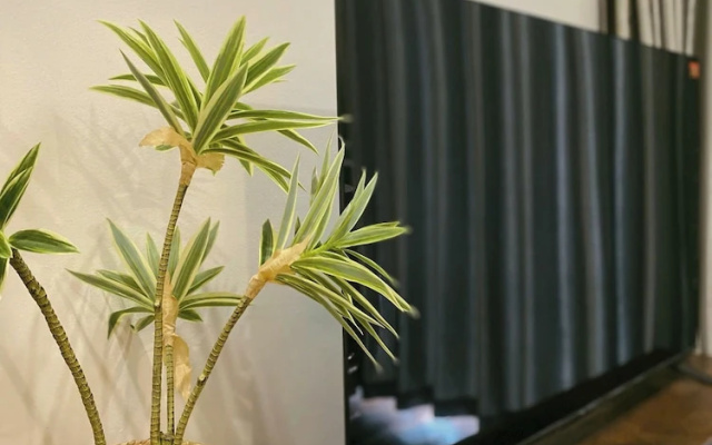 Sò Home – Lobby – Ho Chi Minh City