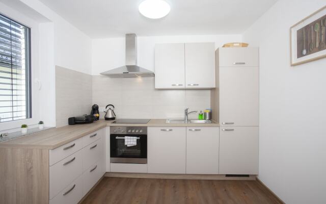 Apartments Razingar 9