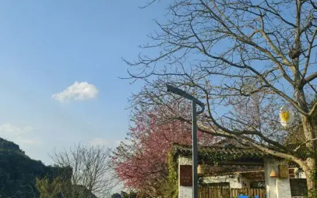 Xingyi Huazhidao Courtyard