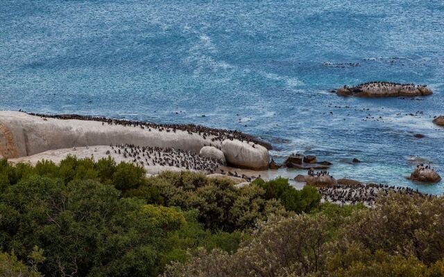Tintswalo Boulders