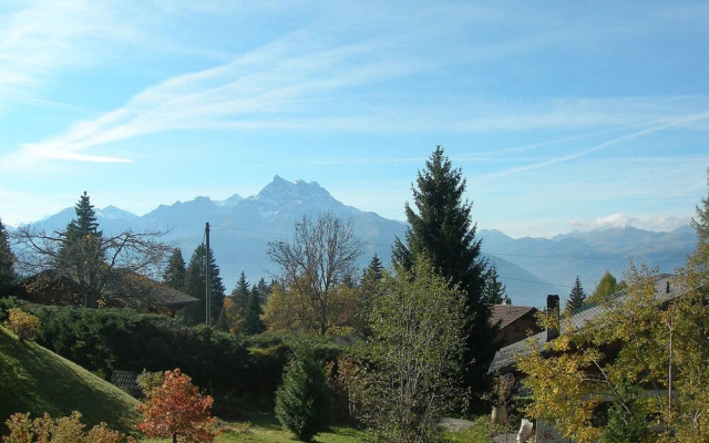 Chalet Petit Pont Ollon