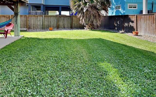 Spc650- The Driftwood