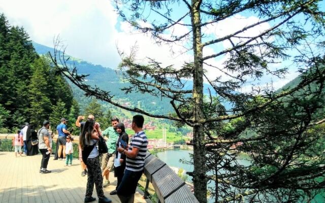 Uzungol Holiday Hotel