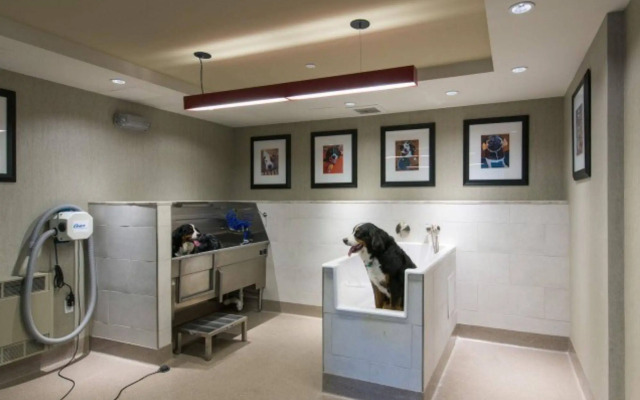 Global Luxury Suites at Cambridge Park