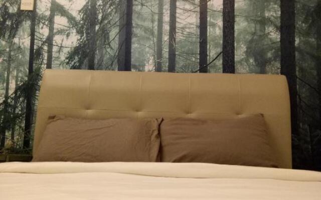 Nature @ Forest Cameron 15