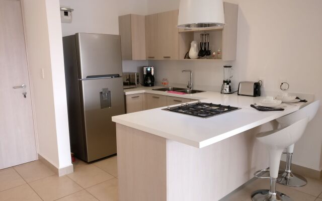 Boutique Apartment Carso Alameda 1102