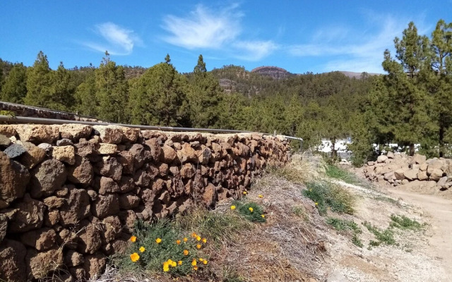 Ziggy's Mountain Retreat