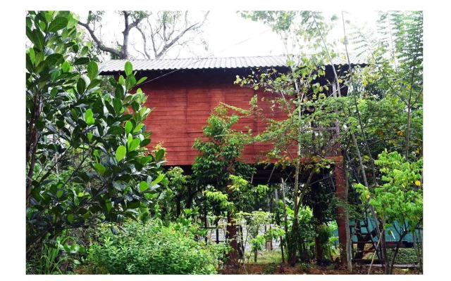 Sun and Green Eco Lodge