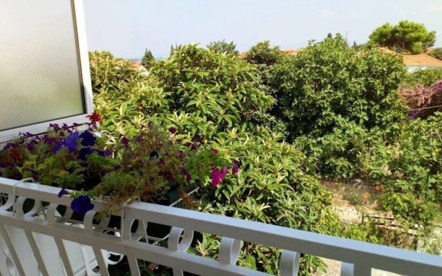 Sreca - 150m From the Beach - A1 - Zeleni