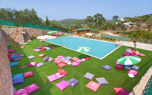 Tomato Bodrum