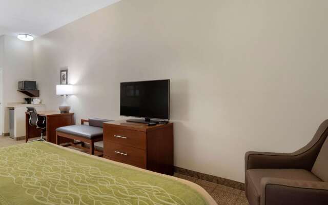 Comfort Inn & Suites Port Arthur-Port Neches