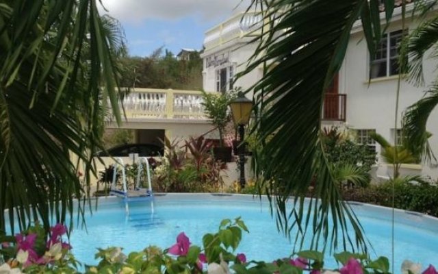 Palm Paradise Guest House and Apartments