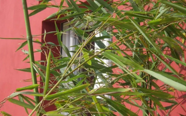 B&B Cascina Grassina