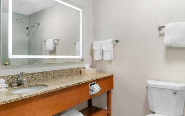 Comfort Suites Auburn Hills-Detroit