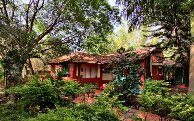 Jungle inn