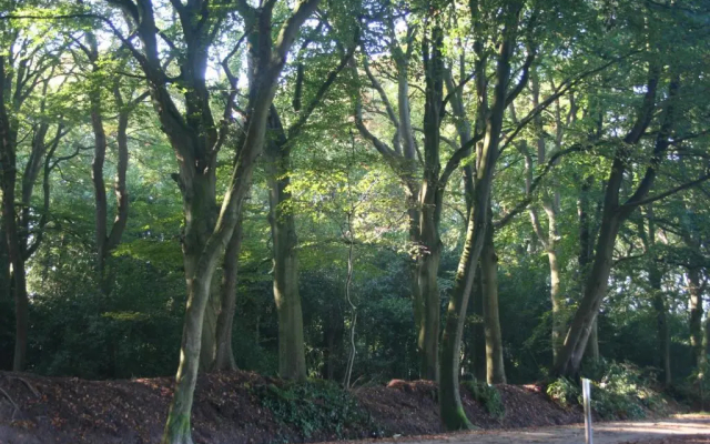 Bed & Breakfast Glimmen