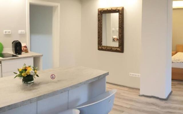 BudaSmile Appartment @ Buda Castle - FREE parking