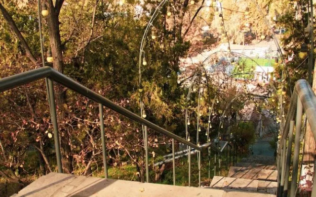 Organic House & Aquapark