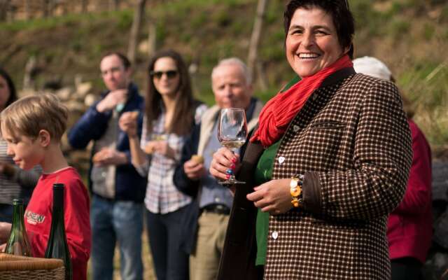 Gartenhotel & Weingut Pfeffel Dürnstein