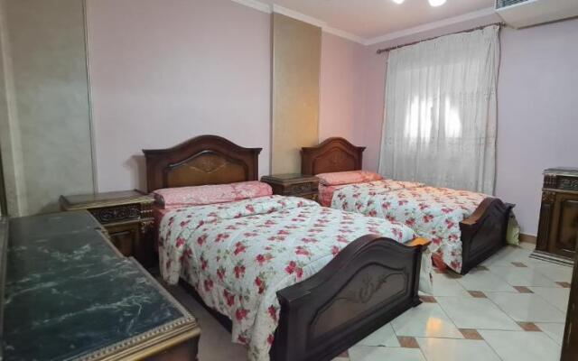 Comfy 2 Bedrooms Apartment in Cairo 98-5