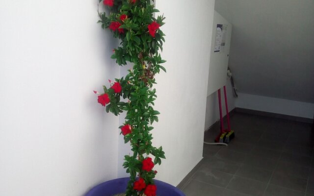 Persefoni Rooms