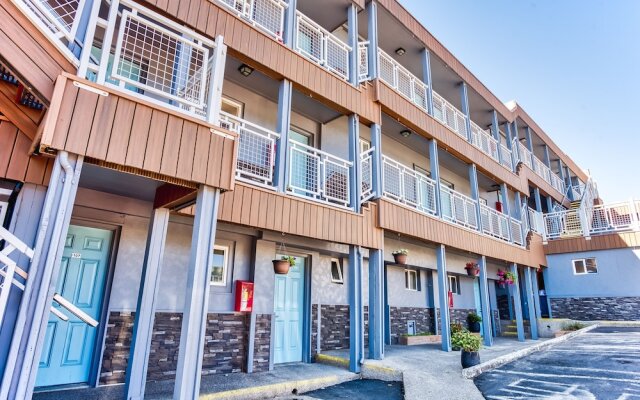 Seagull Beach Front Motel