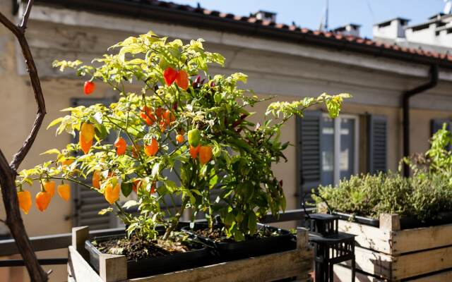 Ostello Bello Milano Duomo