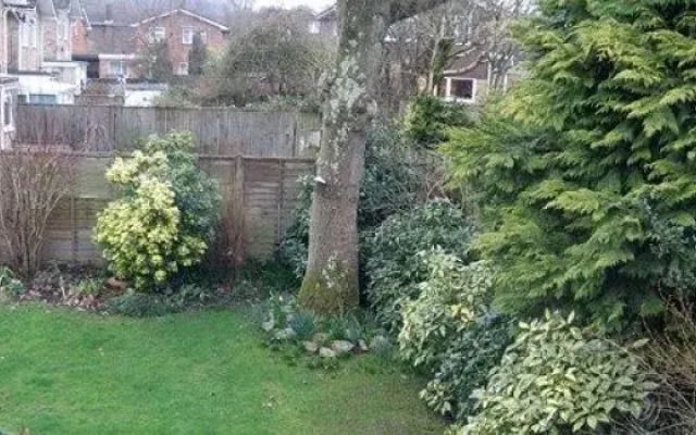 Oak Tree House