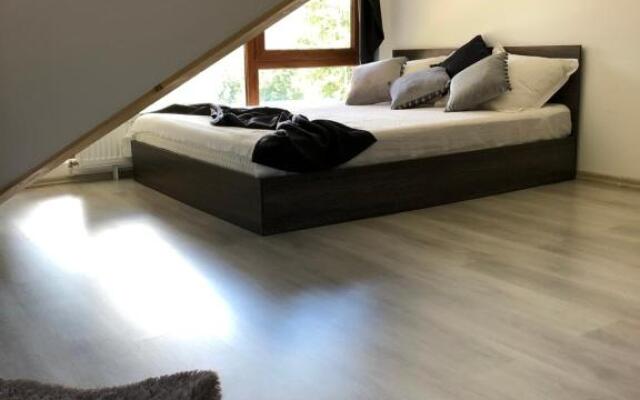 Apartament Andy Busteni 30 m de partie