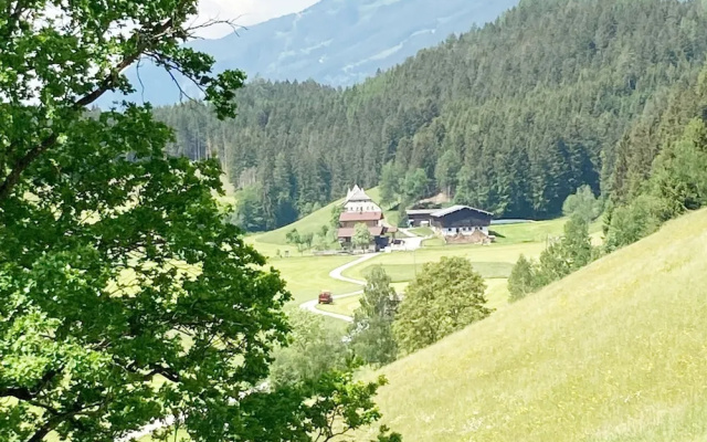 Holiday Apartment in Pinzgau