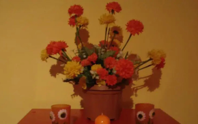 Orange House
