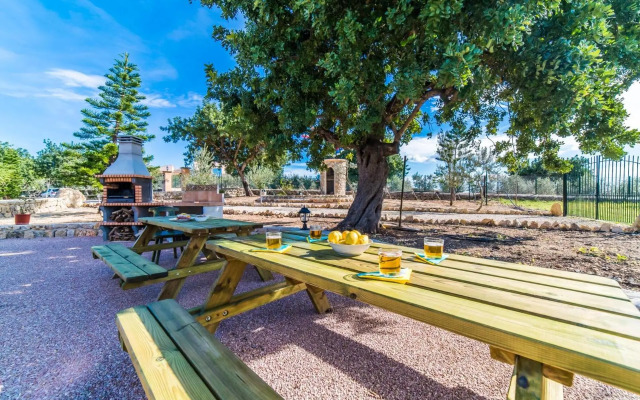 Puig d'en Guardiola ID:74768