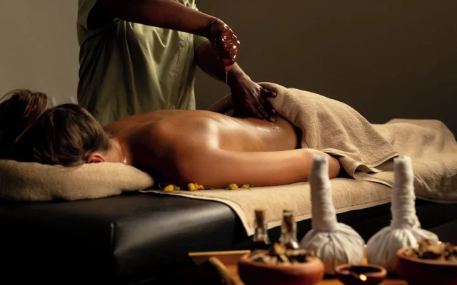 Ayugiri Ayurveda Wellness Resort