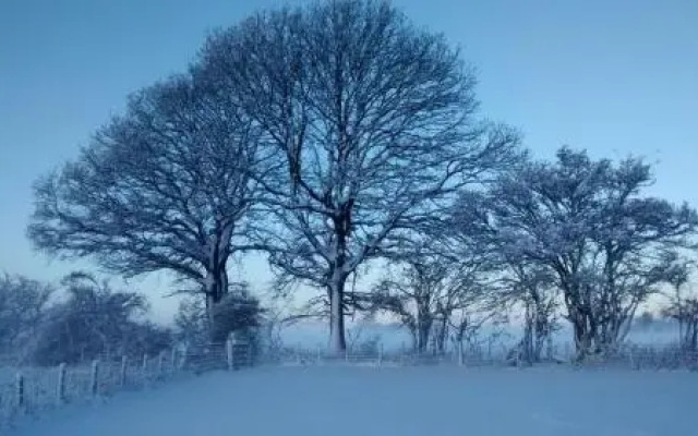 The Farm Snead Bed & Breakfast