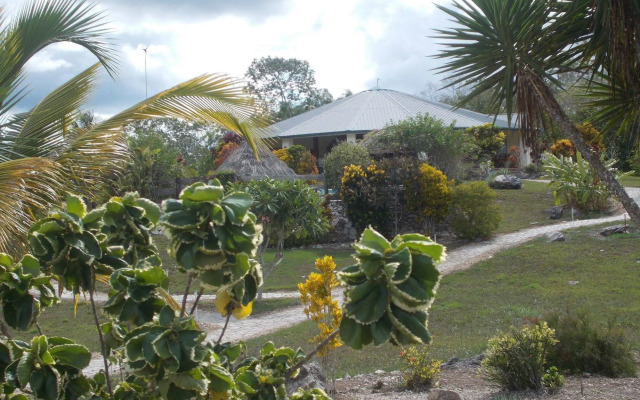 Gumbo Limbo Jungle Resort