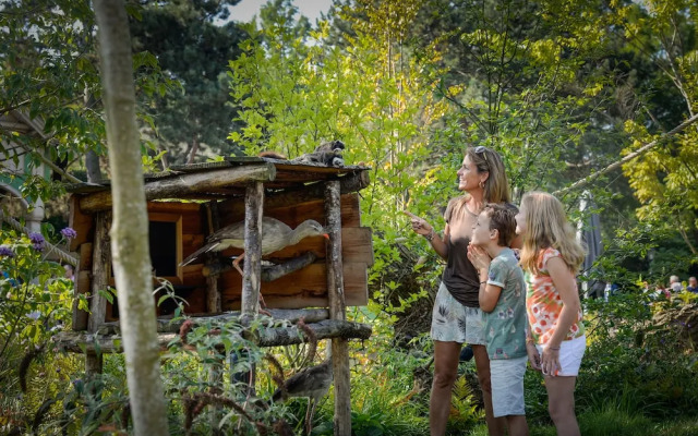 Van der Valk Avifauna