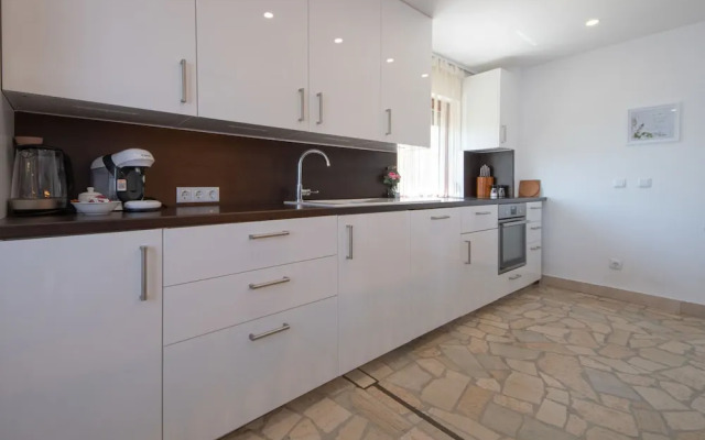 Laurus Tuli Evica in Tuli Evica